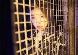 日本国产高清网色,光影交织的视觉盛宴