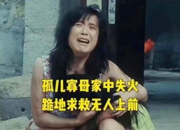 国产农村妇女毛片精品久久,毛片精品久久背后的真实故事