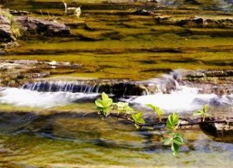 国产春色在线,探寻中国电影中的青春与色彩