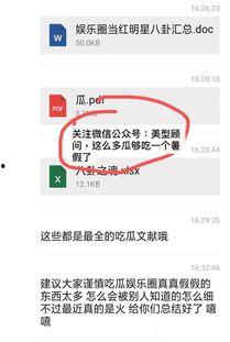 娱乐圈吃瓜pdf文件
